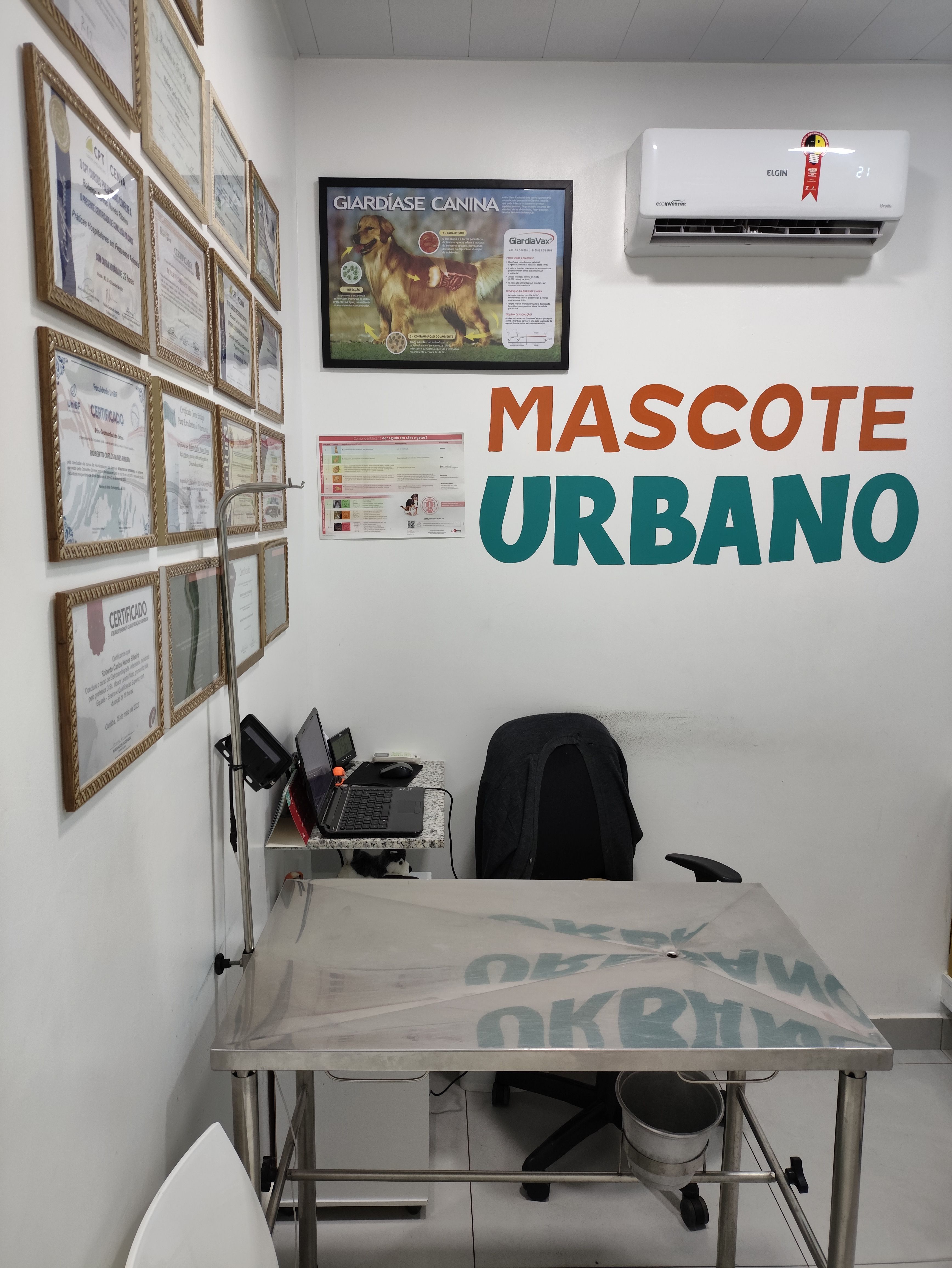 Post 1 — @mascoteurbano